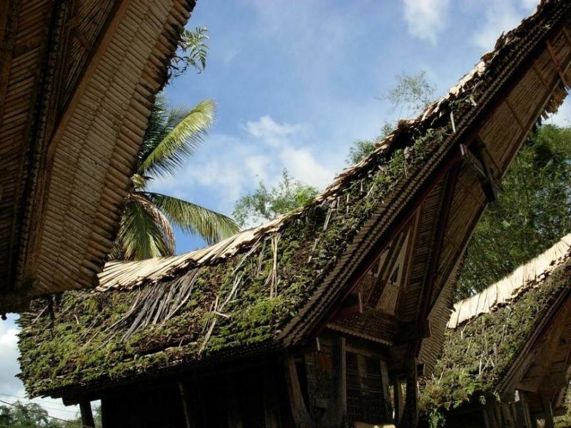 Admirer l'architecture typique de Sulawesi - Indonésie | Au Tigre Vanillé