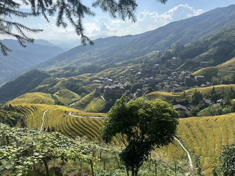 chine-pingan-rizieres-terrasses