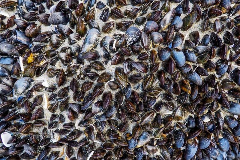 Flânerie dans les villages de pêcheurs de Quy Nhon - Vietnam | Au Tigre Vanillé