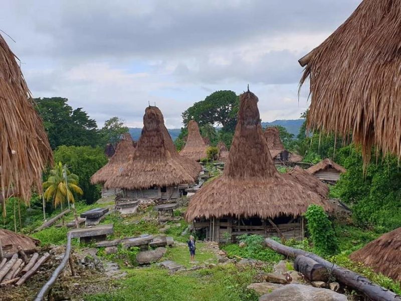 Découverte de la culture Marapu sur l'île de Sumba - Indonésie | Au Tigre Vanillé