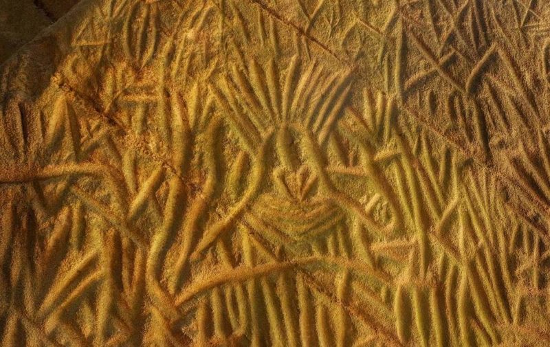 eddakal-grottes-art-jain-inde Grottes d'art jaïn de Eddakal dans les Nilgiri en Inde du Sud | Au Tigre Vanillé
