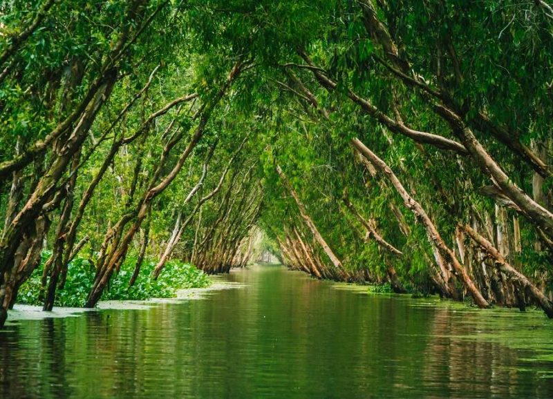 Sortie ornithologique dans le forêt de Tra Su dans le delta du Mekong - Vietnam | Au Tigre Vanillé