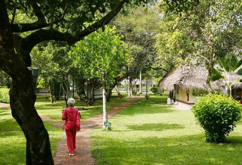 Jardin de l'hôtel Marari à Cochin - Inde | Au Tigre Vanillé