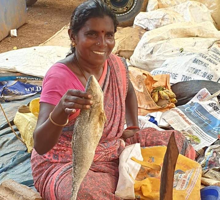 Marchés et ruelles animées de Kothamangalam en Inde du Sud | Au Tigre Vanillé