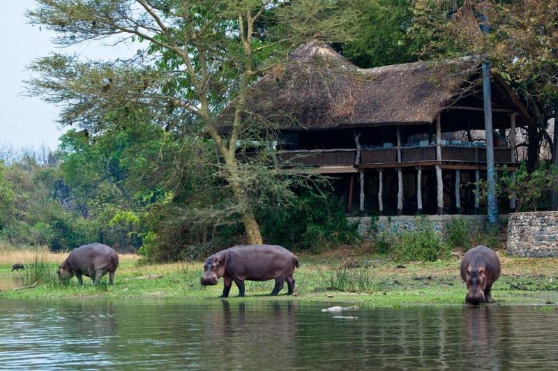 Séjour au Mvuu Lodge dans le parc de Liwonde - Malawi | Au Tigre Vanillé