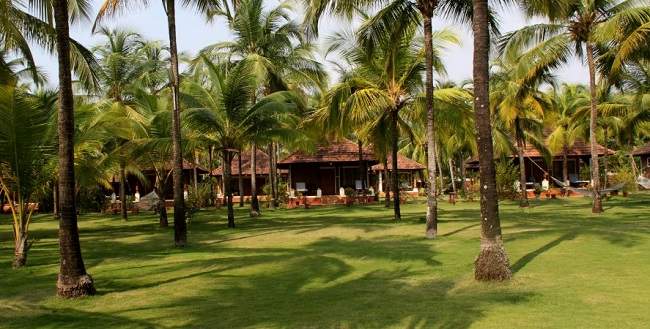 Jardin hotel Nattika Beach Resort spécial ayurvéda en Inde du Sud | Au Tigre Vanillé