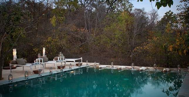 Piscine de l'hotel Taj Pashangarh à la réserve de Panna en Inde centrale | Au Tigre Vanillé