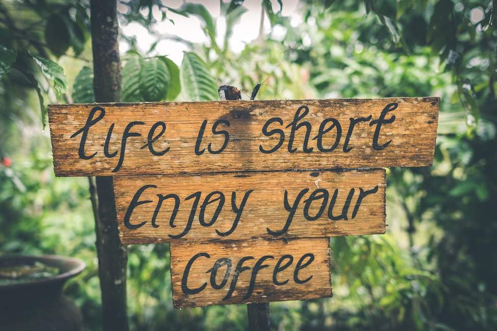 Séjour au coeur d'une plantation de café à Java - Indonésie | Au Tigre Vanillé