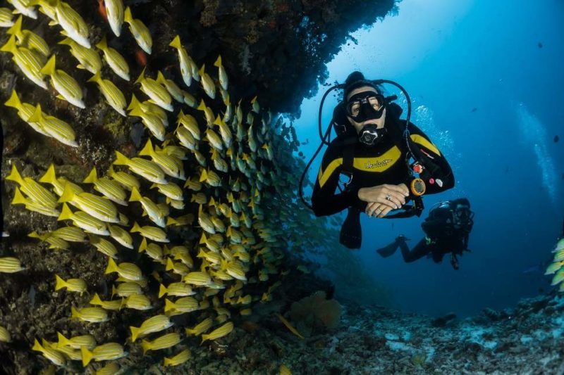 Plongée dans les parcs marins de Manado à Sulawesi - Indonésie | Au Tigre Vanillé