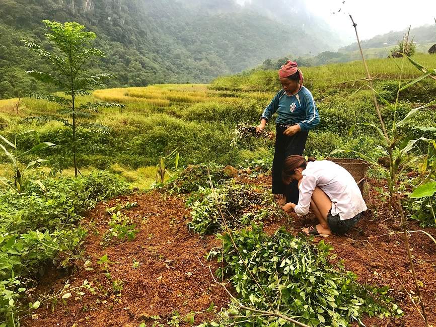 rencontre-culture-village-pu-luong-vietnam Découverte de l'agriculture locale à Pu Luong - Vietnam | Au Tigre Vanillé