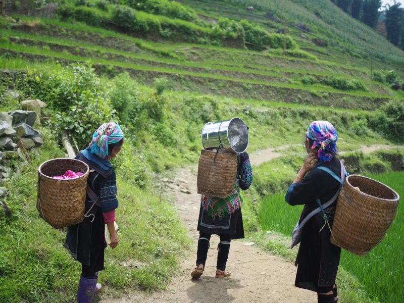 Rencontre avec les ethnies des montagnes du Nord - Vietnam | Au Tigre Vanillé