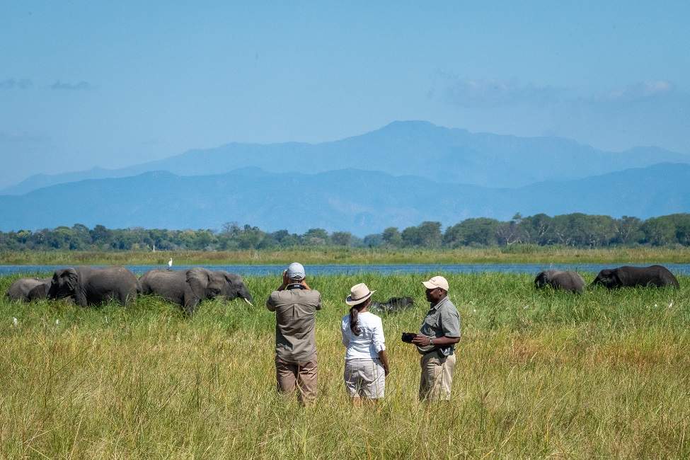 safari-pedestre-parc-liwonde-malawi Safari à pied dans le parc de Liwonde - Malawi | Au Tigre Vanillé