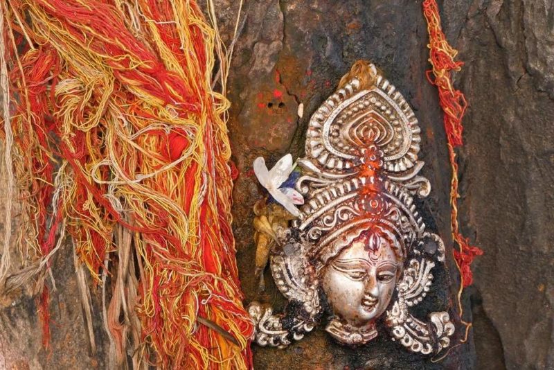 Décoration bouddhiste sur une arbre à Varanasi - Inde | Au Tigre Vanillé