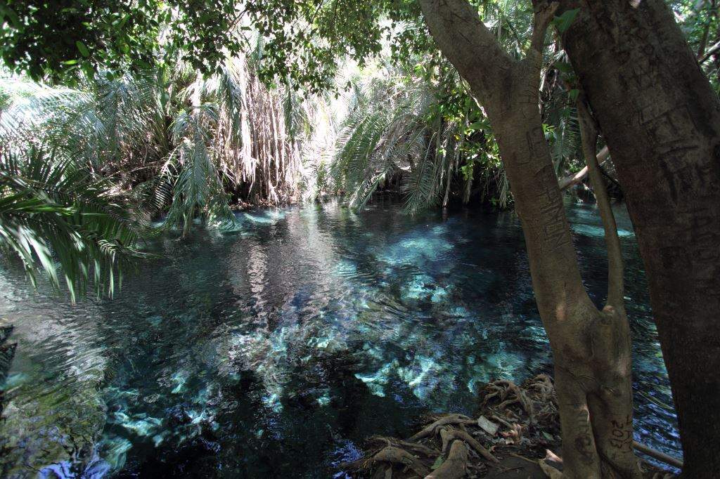 Baignade dans une source chaude près d'Arusha - Tanzanie | Au Tigre Vanillé