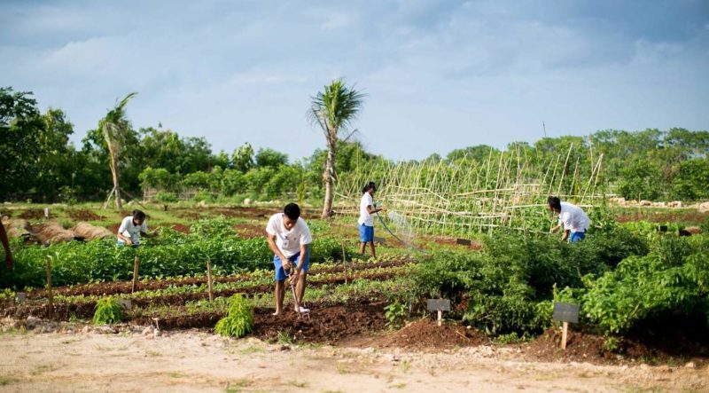 Jardin de l'hôtel Nihi Sumba Foundation - Indonésie | Au Tigre Vanillé
