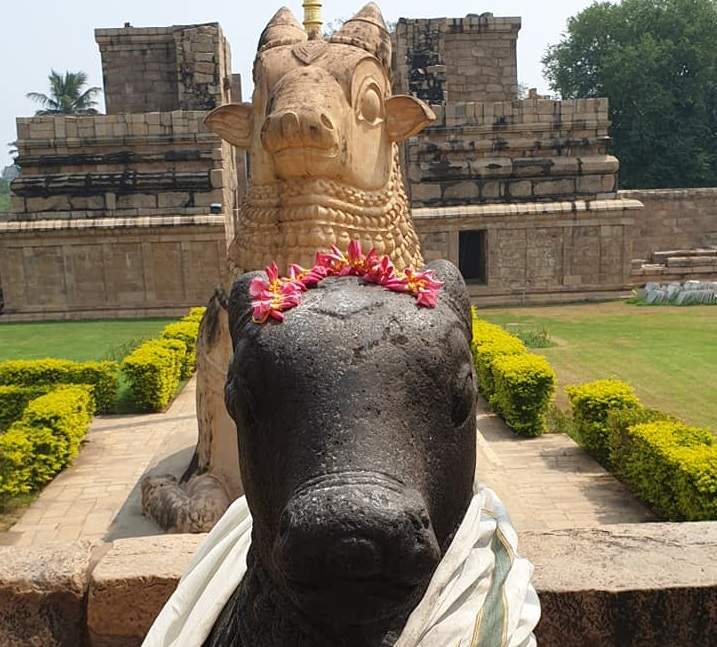 Temples de Shiva à Tanjore en Inde du Sud | Au Tigre Vanillé