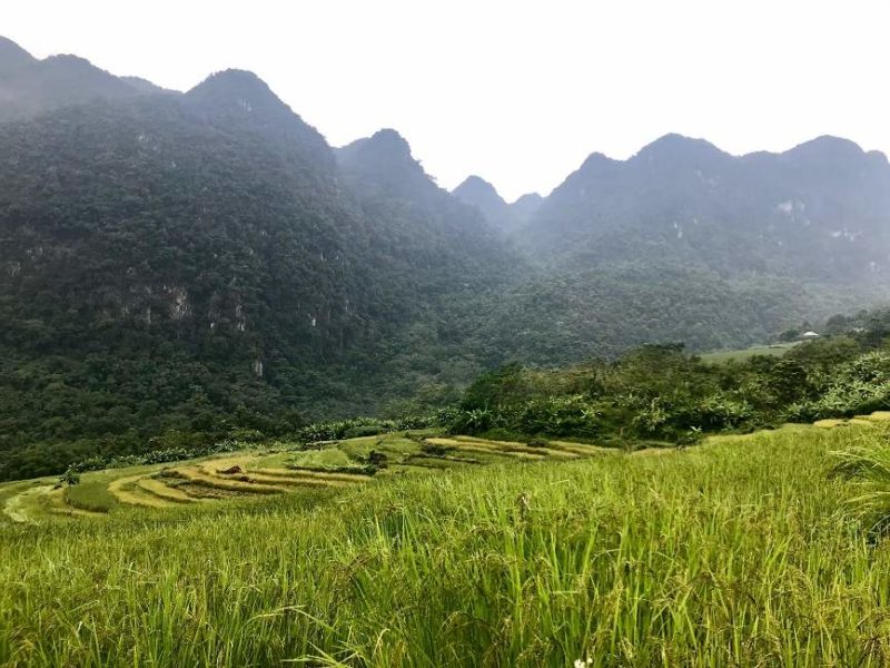 Trek entre les villages de la région de Pu Luong - Vietnam | Au Tigre Vanillé