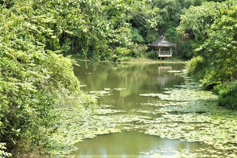Jardin botanique tropical dans le Xishuangbanna - Chine | Au Tigre Vanillé