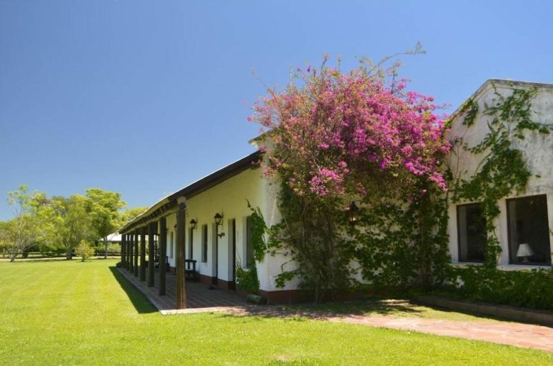 Jardin de l'Aguape Lodge - Argentine | Au Tigre Vanillé