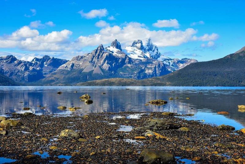 croisiere-cordillère-darwin-australis-patagonie Croisière au pied de la cordillère Darwin - Argentine | Au Tigre Vanillé