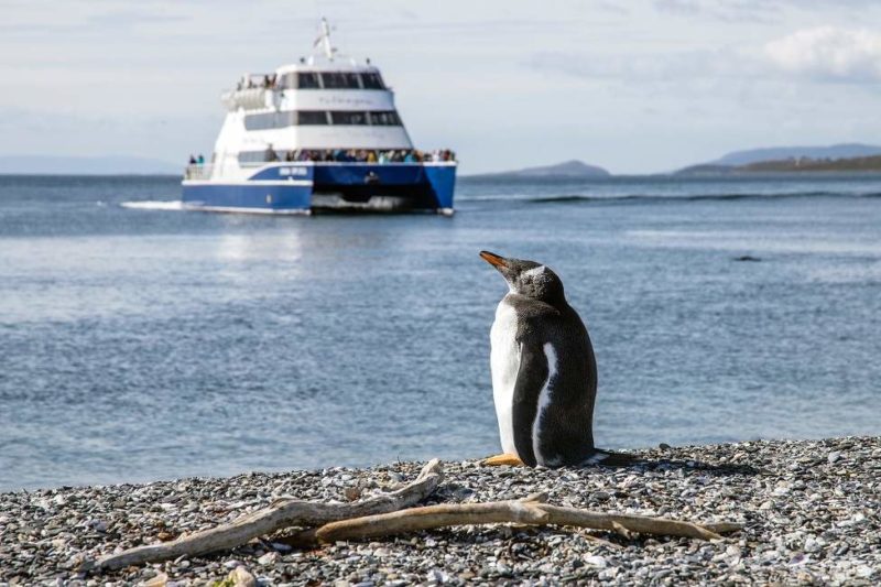 Croisière en Terre de Feu, de Ushuaïa à Punta Arenas - Argentine | Au Tigre Vanillé