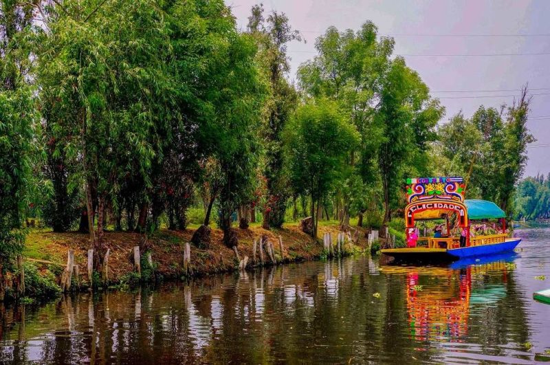 Paulina Roman Découvrir les jardins de Xochimilco à Mexico - Mexique | Au Tigre Vanillé