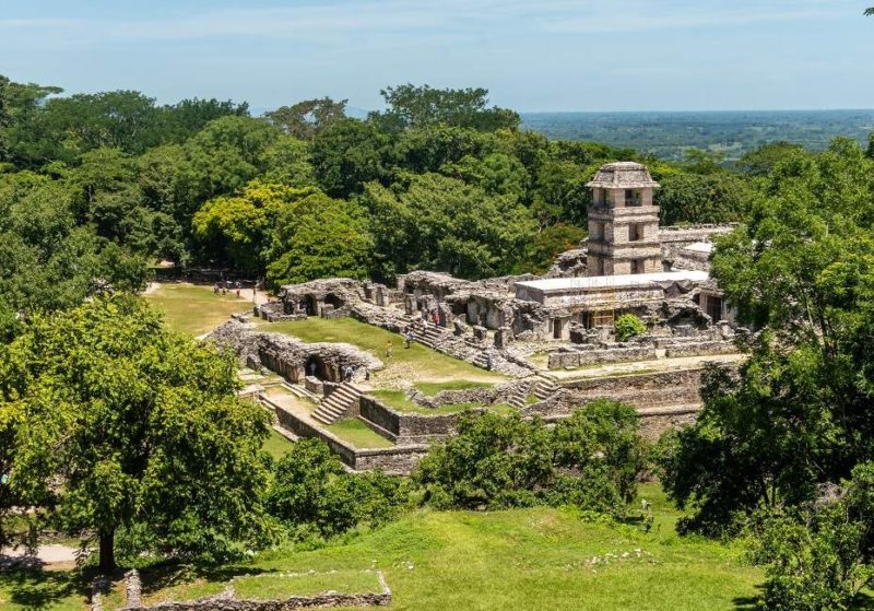 Escapade à Palenque, entre jungle et sites historiques - Mexique | Au Tigre Vanillé