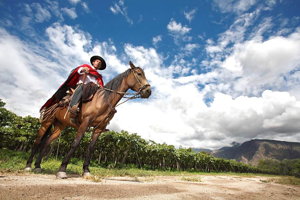 Participer à la fête des vendanges à Mendoza - Argentine | Au Tigre Vanillé