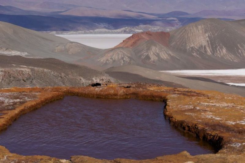 Excursion sur les plateaux de la Puna - Argentine | Au Tigre Vanillé