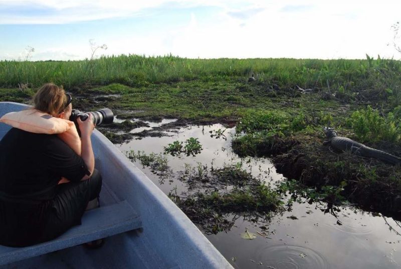 Observation de la faune des Esteros del Ibera - Argentine | Au Tigre Vanillé