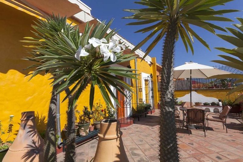 Patio de l'hôtel Casa Catrina à Oaxaca - Mexique | Au Tigre Vanillé