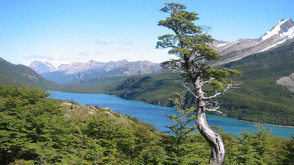 Randonner sur les sentiers de Patagonie - Argentine | Au Tigre Vanillé