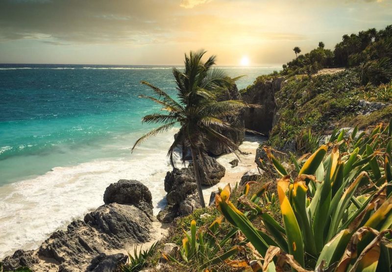 Séjour sur la Riviera Maya sur la côte caribéenne - Mexique | Au Tigre Vanillé