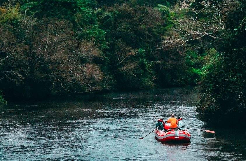 safari-faune-ornithologie-iguazu-argentine Safari au coeur du parc d'Iguazu - Argentine | Au Tigre Vanillé