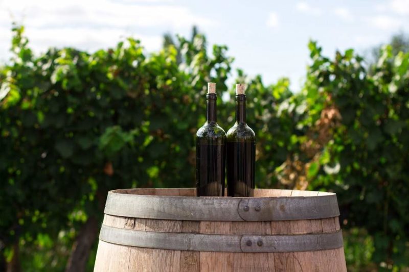 Goûter les vins de la vallée de Uco - Argentine | Au Tigre Vanillé