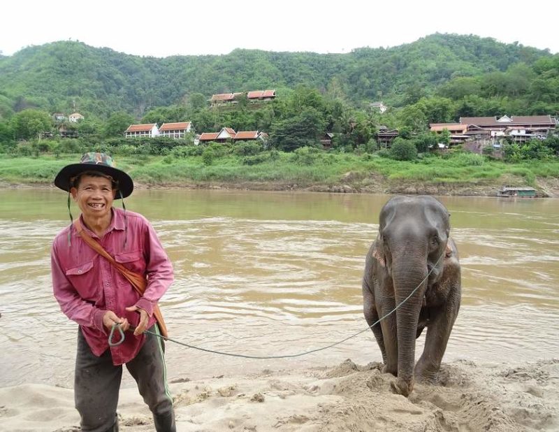 Moine dans une temple à Luang Prabang - Laos | Au Tigre Vanillé