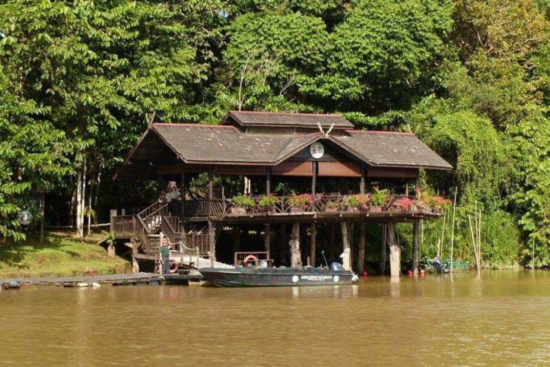 Séjour au Sukau Rainforest Lodge - Malaisie | Au Tigre Vanillé