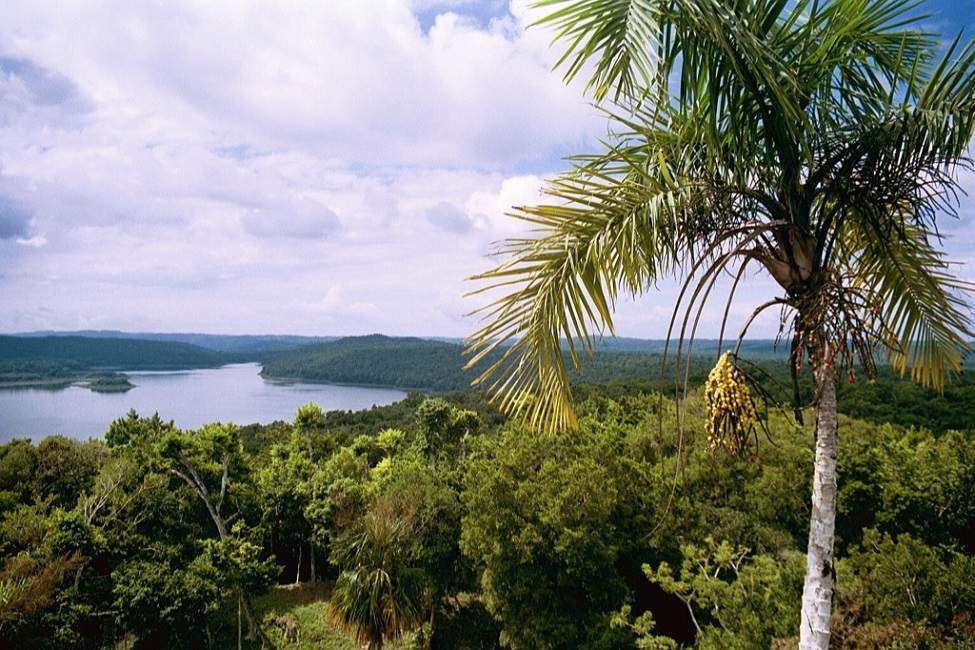 Visite de la cité de Yaxha entre lac et jungle - Guatemala | Au Tigre Vanillé