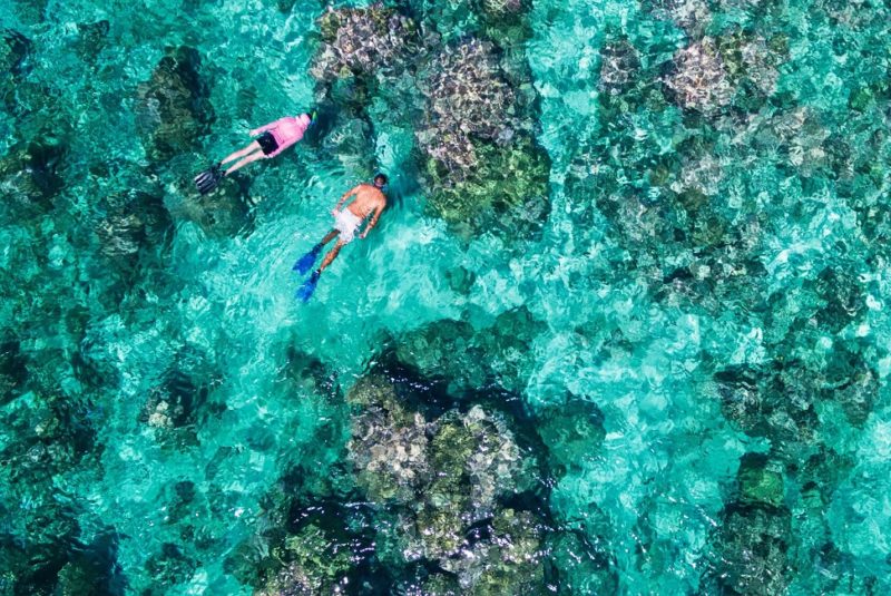 alphonse-snorkeling-plongee-coraux-seychelles Snorkeling dans les récifs de Alphonse - Seychelles | Au Tigre Vanillé