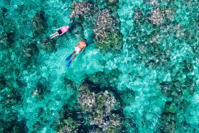 Snorkeling dans les récifs de Alphonse - Seychelles | Au Tigre Vanillé