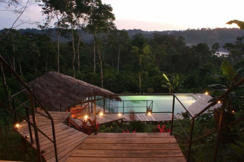 Piscine de l'Hamadryade Lodge - Equateur | Au Tigre Vanillé