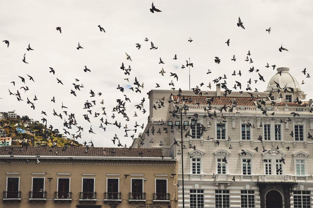 Déambuler dans la capitale, Quito - Equateur | Au Tigre Vanillé