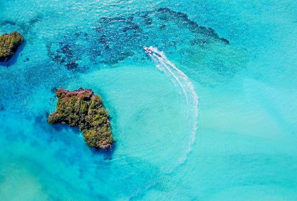 Safari marin sur l'île de Cosmoledo - Seychelles | Au Tigre Vanillé