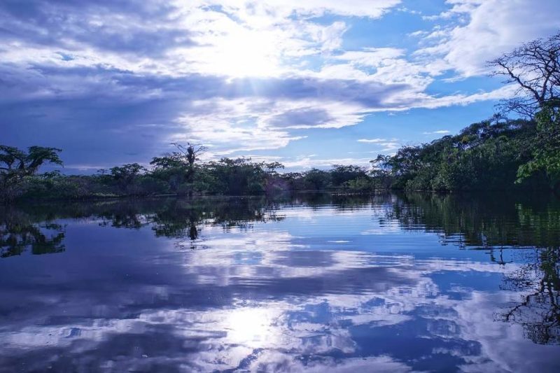 Croisière sur le fleuve Amazone - Equateur | Au Tigre Vanillé