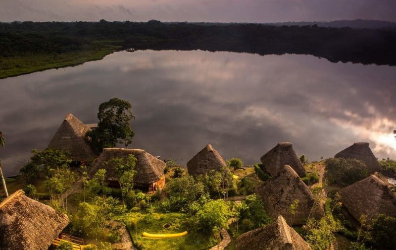 Séjour au Napo Wildlife Center - Equateur | Au Tigre Vanillé