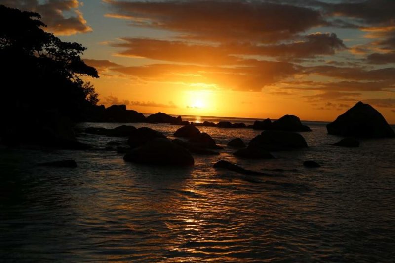 praslin-anse-lasio-plage-seychelles Détente sur les plages de l'île de Praslin - Seychelles | Au Tigre Vanillé