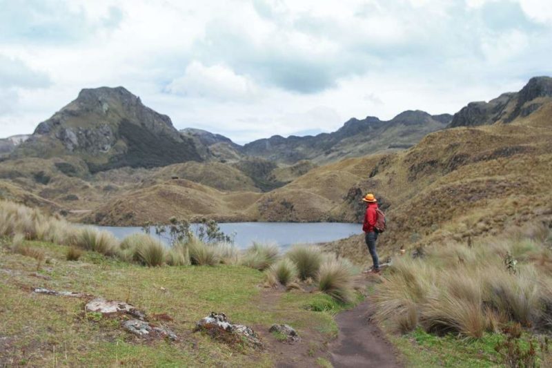randonner-parc-cajas-cuenca-equateur Randonner dans le parc Cajas dans la région de Cuenca - Equateur | Au Tigre Vanillé