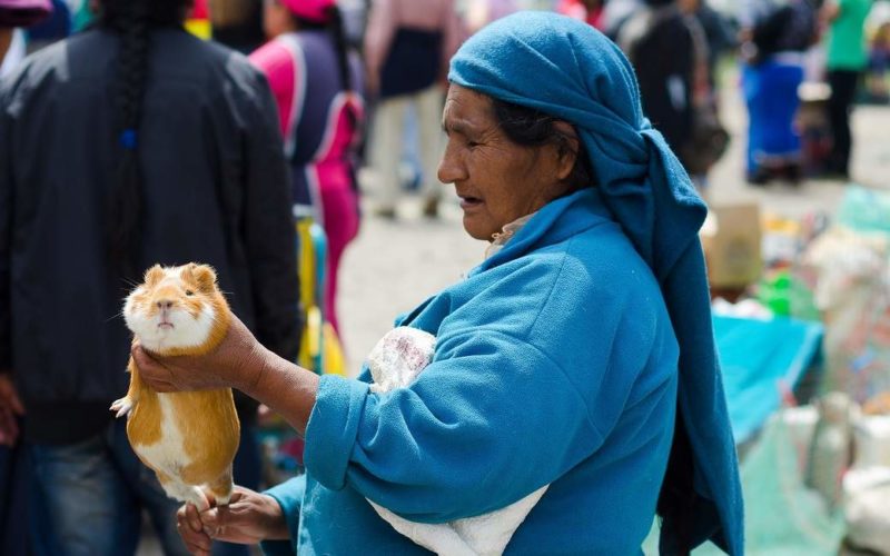 Rencontrer les indigènes Imbabura dans la région d'Otovalo - Equateur | Au Tigre Vanillé
