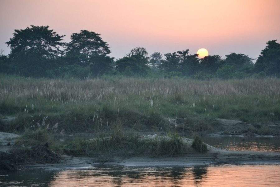 Safari à pied au parc de Bardia - Népal | Au Tigre Vanillé
