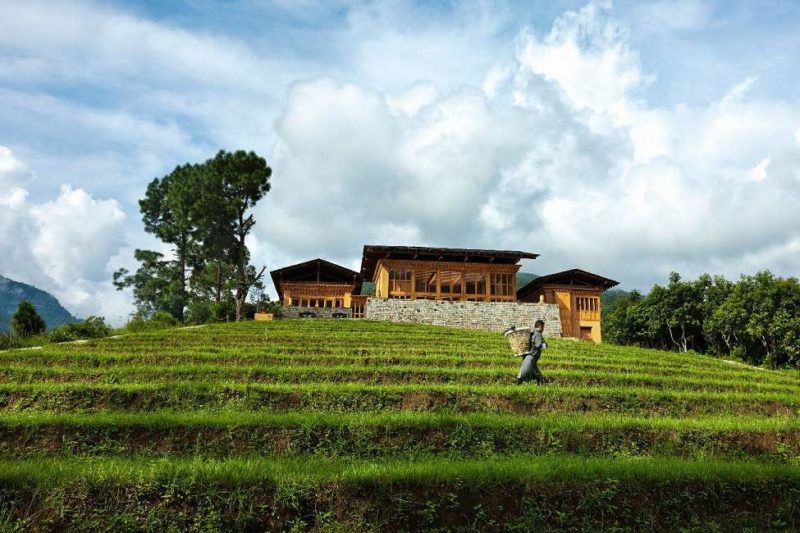 Hôtel Uma au coeur des rizières - Bhoutan | Au Tigre Vanillé